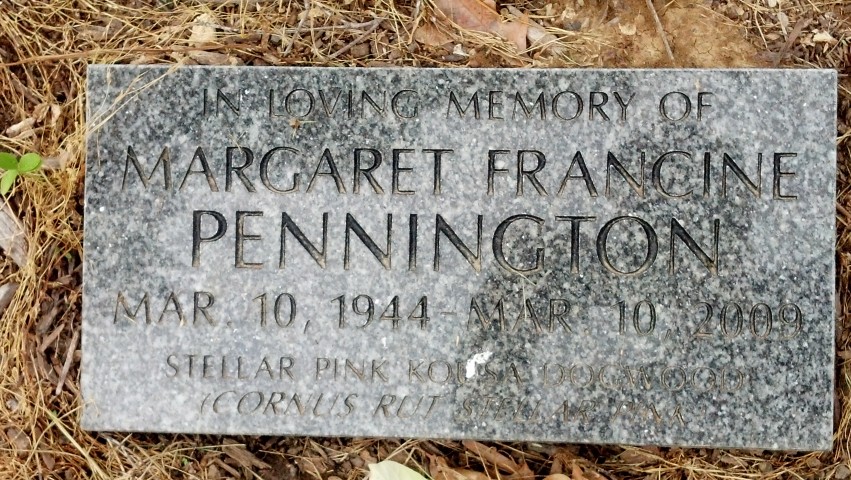 Cornus kousa MargaretFrancinePenningtonPlaqueHarbinParkFarifiel.jpg