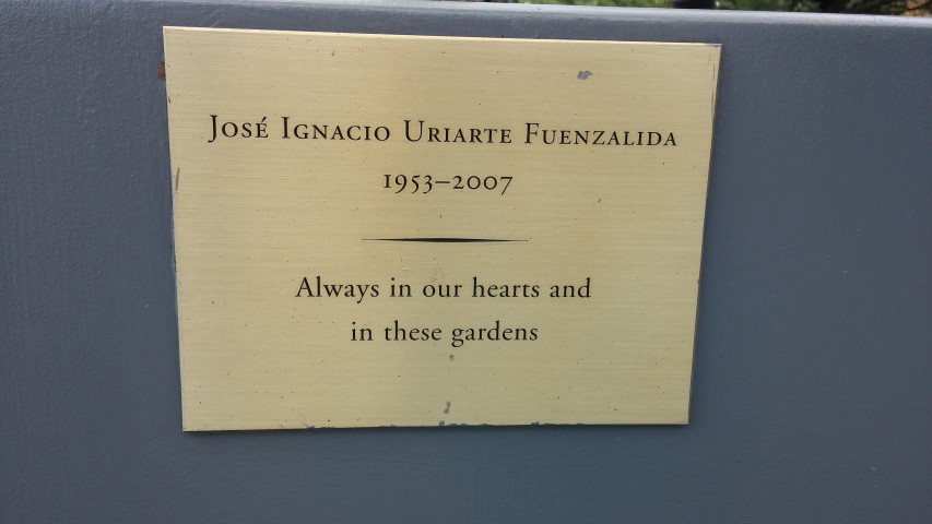 Prunus x yedoensis plantplacesimage20150501_154426.jpg