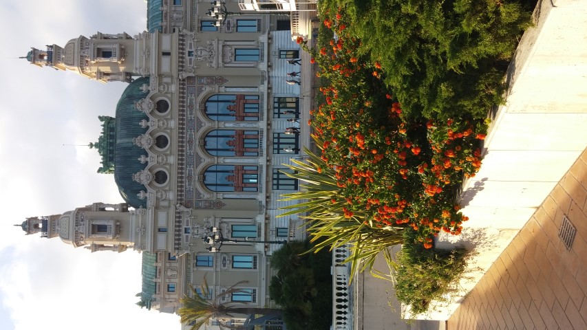 Lantana camara plantplacesimage20151011_171630.jpg