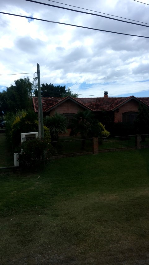 Rhapis excelsa plantplacesimage20160101_135917.jpg