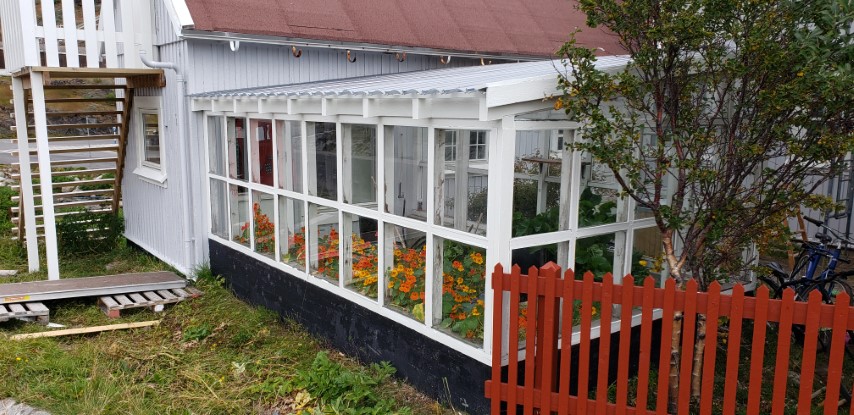 Tropaeolum spp plantplacesimage20190828_092153.jpg