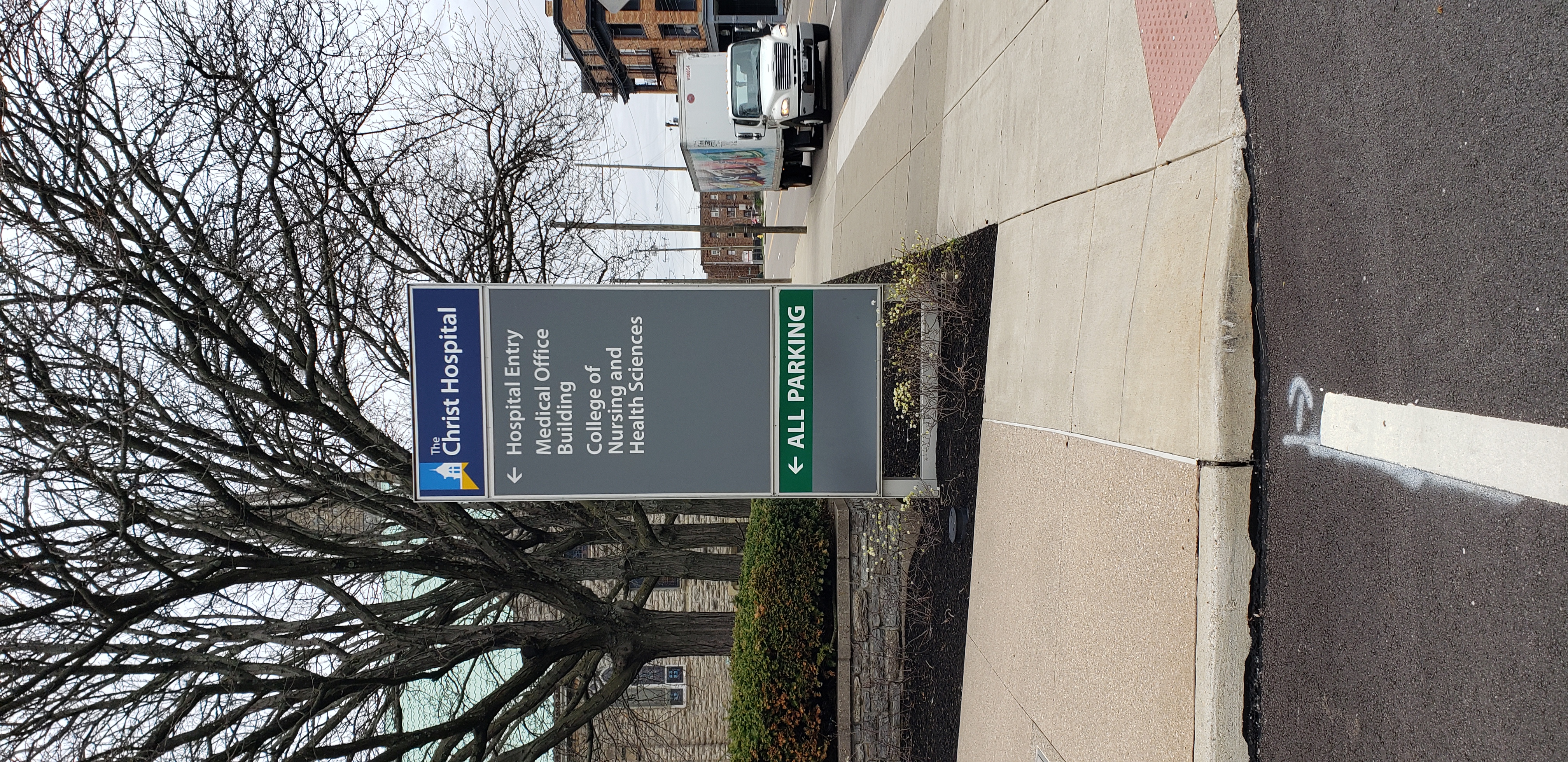 Fothergilla gardenii plantplacesimage20230406_133643.jpg